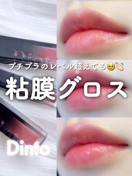 ディープキスド プランピング リップエナメル/Dinto/リップグロスを使ったクチコミ(1枚目)