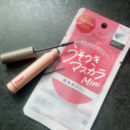 ピメル パーフェクトロング&カールマスカラ ミニ/pdc/マスカラを使ったクチコミ(6枚目)