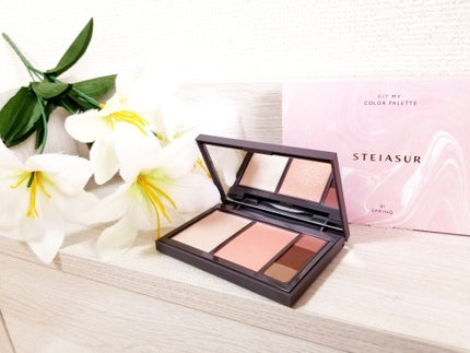 フィット my カラーパレット/STEIASUR(ステイアシュール)/マルチパレットを使ったクチコミ(1枚目)