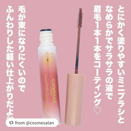 スマートミニアイブロウカラー/キャンメイク/眉マスカラを使ったクチコミ(6枚目)