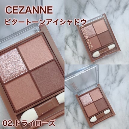 ビタートーンアイシャドウ/CEZANNE/パウダーアイシャドウを使ったクチコミ(2枚目)