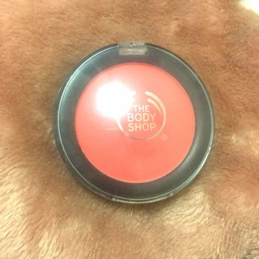 THE BODY SHOP オールインワン チークカラーのクチコミ「06番 赤みの強いオレンジ色
を持っています。
ブラシはついていないので、別に用意する必要があ.....」（1枚目）