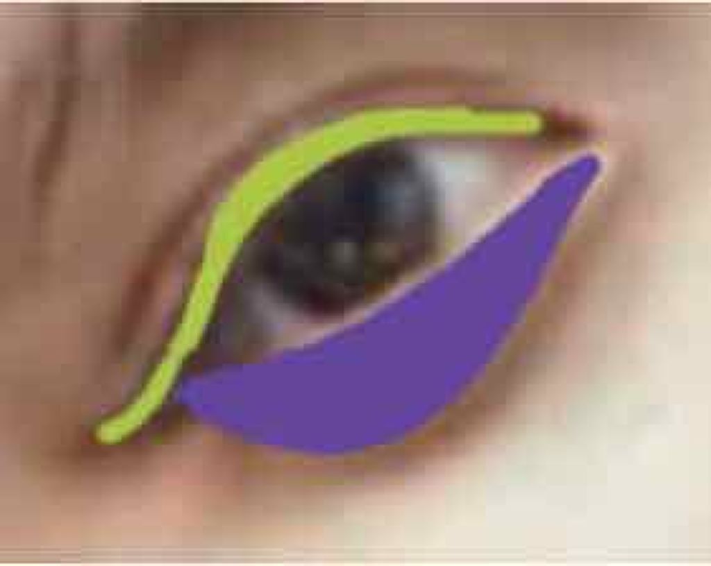 【旧品】パーフェクトスタイリストアイズ/キャンメイク/アイシャドウパレットを使ったクチコミ(2枚目)