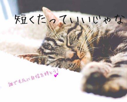 UR GLAM LIP OIL/U R GLAM/リップグロスを使ったクチコミ(1枚目)