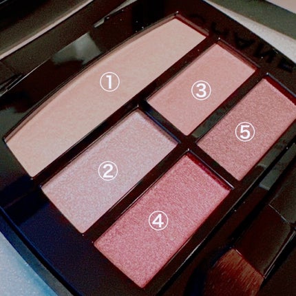 レ ベージュ パレット ルガール/CHANEL/アイシャドウパレットを使ったクチコミ(2枚目)