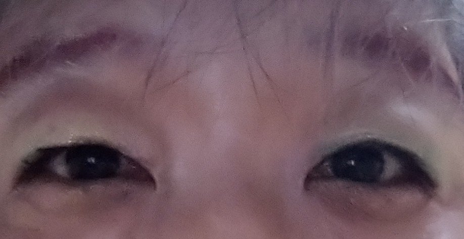 レトロマグネティック アイシャドウパレット/FlowerKnows/アイシャドウパレットを使ったクチコミ（2枚目）