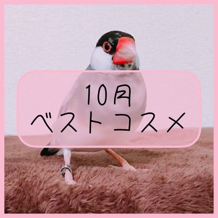 トーンアップアイシャドウ/CEZANNE/アイシャドウパレットを使ったクチコミ(1枚目)