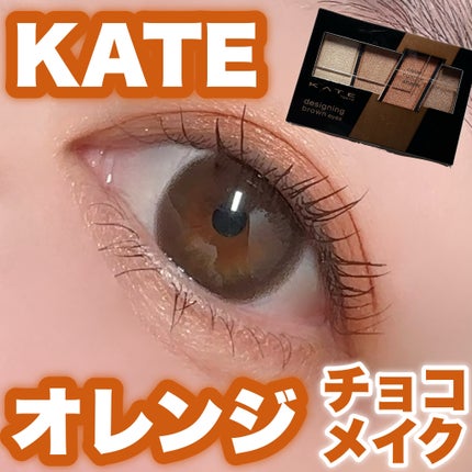 デザイニングブラウンアイズ/KATE/アイシャドウパレットを使ったクチコミ(1枚目)