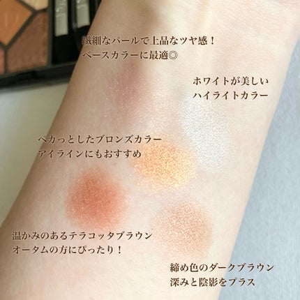 サンク クルール<ワイルド アース> 696 シエナ / Dior サンク クルール<ワイルド アース> 696 シエナ / Dior