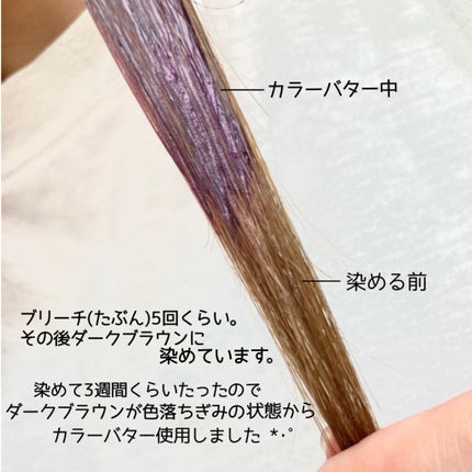 カラーバター/gatsby THE DESIGNER/ヘアカラーを使ったクチコミ(3枚目)
