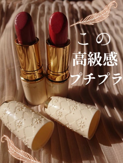 ラスティング リップカラーN/CEZANNE/口紅を使ったクチコミ(1枚目)