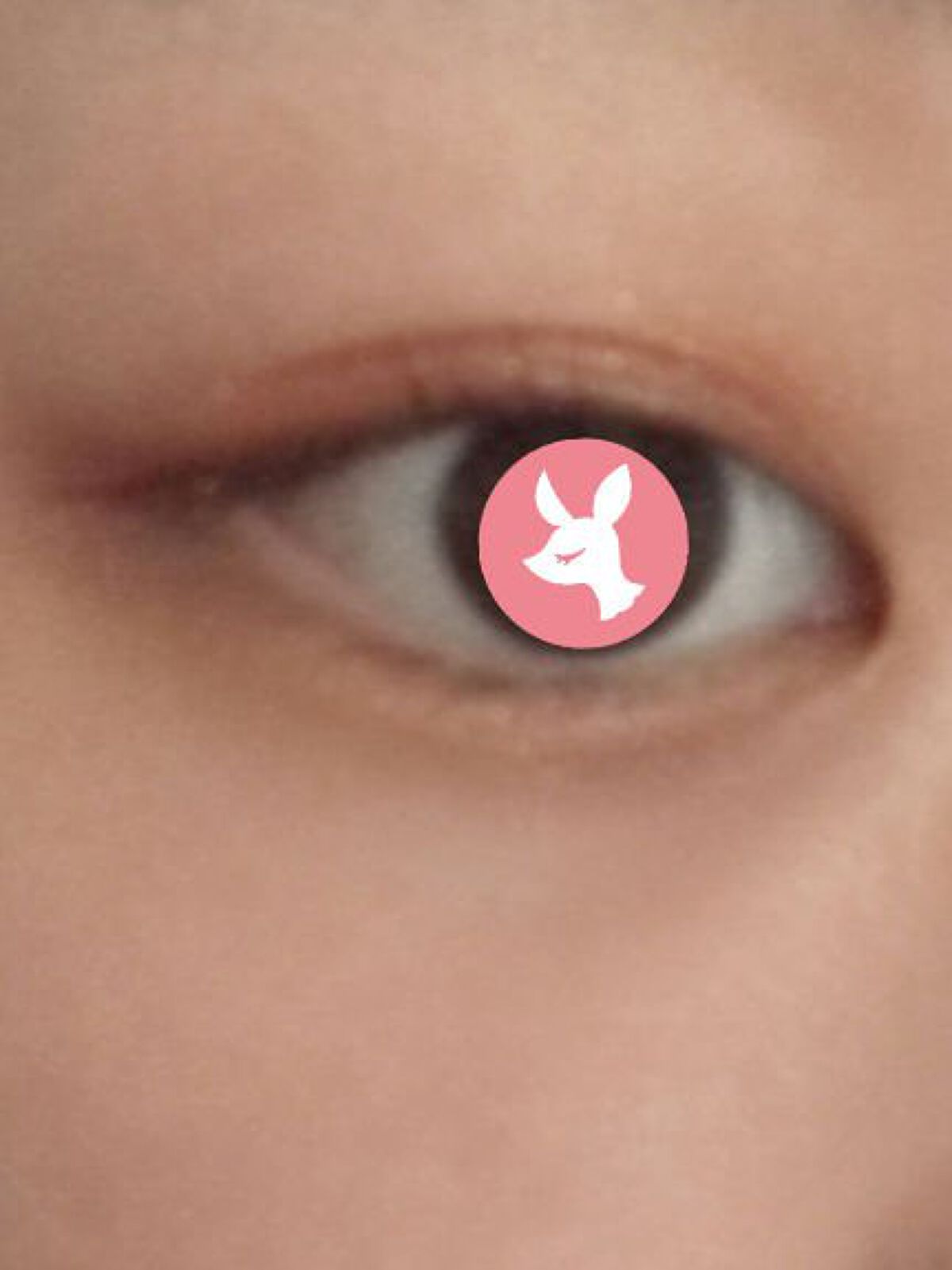 バレンタインボックス/VAVI MELLO/アイシャドウパレットを使ったクチコミ（2枚目）