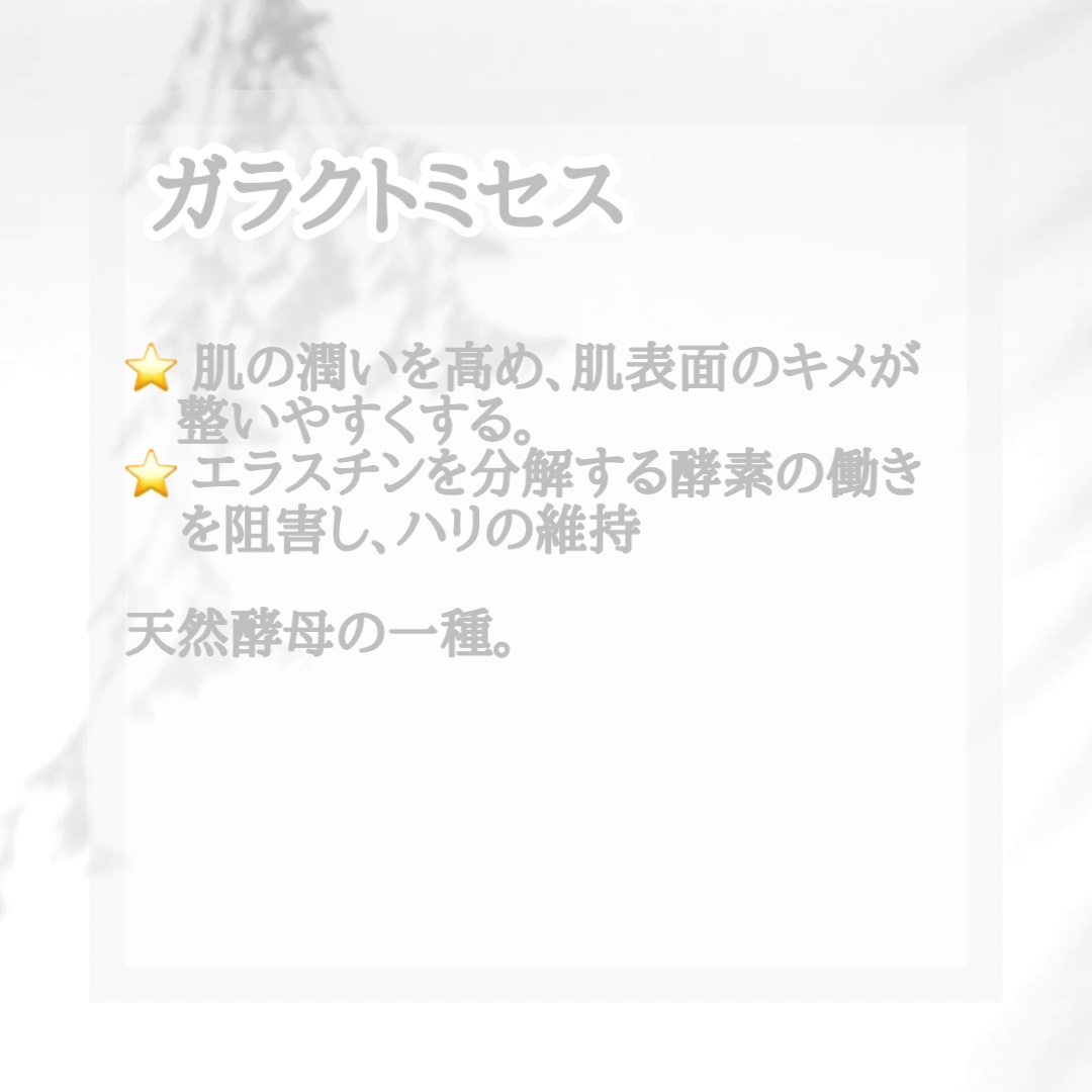 ガラクナイアシン2.0エッセンス/manyo/美容液を使ったクチコミ（3枚目）