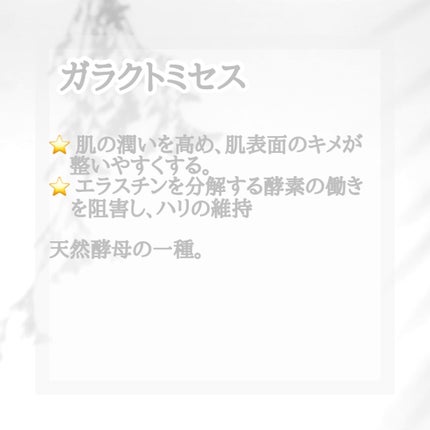 ガラクナイアシン2.0エッセンス/manyo/美容液を使ったクチコミ(3枚目)