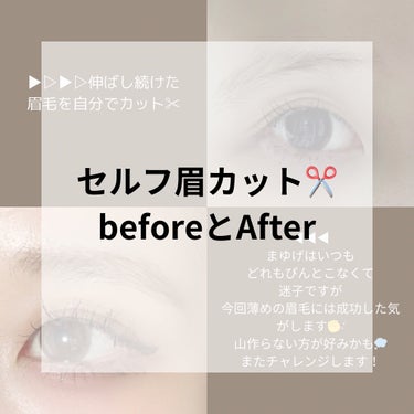 アイブロウシザーズ/SHISEIDO/その他化粧小物を使ったクチコミ（1枚目）