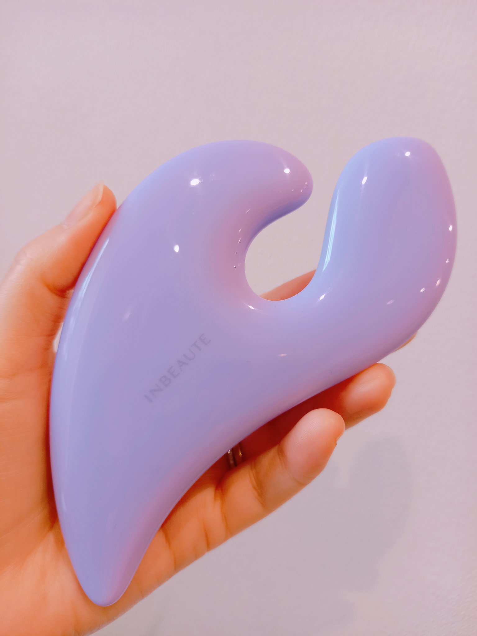 INBEAUTE Pastel CAXA パープル/MTG/かっさプレートを使ったクチコミ（1枚目）