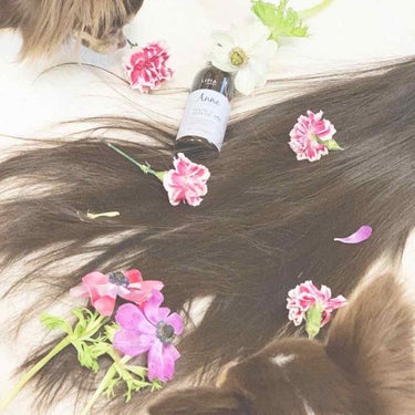 ❁⃘*.ﾟ#haircare ❁⃘*.ﾟ .

新しいヘアオイル ♡

ヘアオイルは、何種類も持ってて
気分によって香りで変えてます♡

芸能人は歯が命って
ぐらい
私は、髪が命（笑）♡ .

@lip