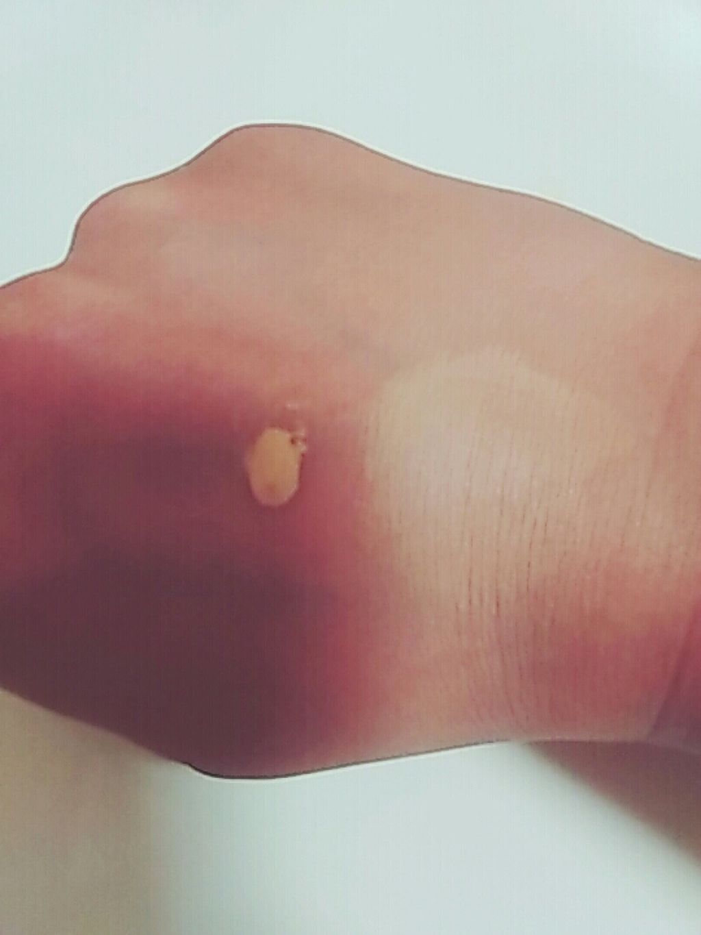 パーフェクトセラムBBクリーム/キャンメイク/BBクリームを使ったクチコミ（2枚目）