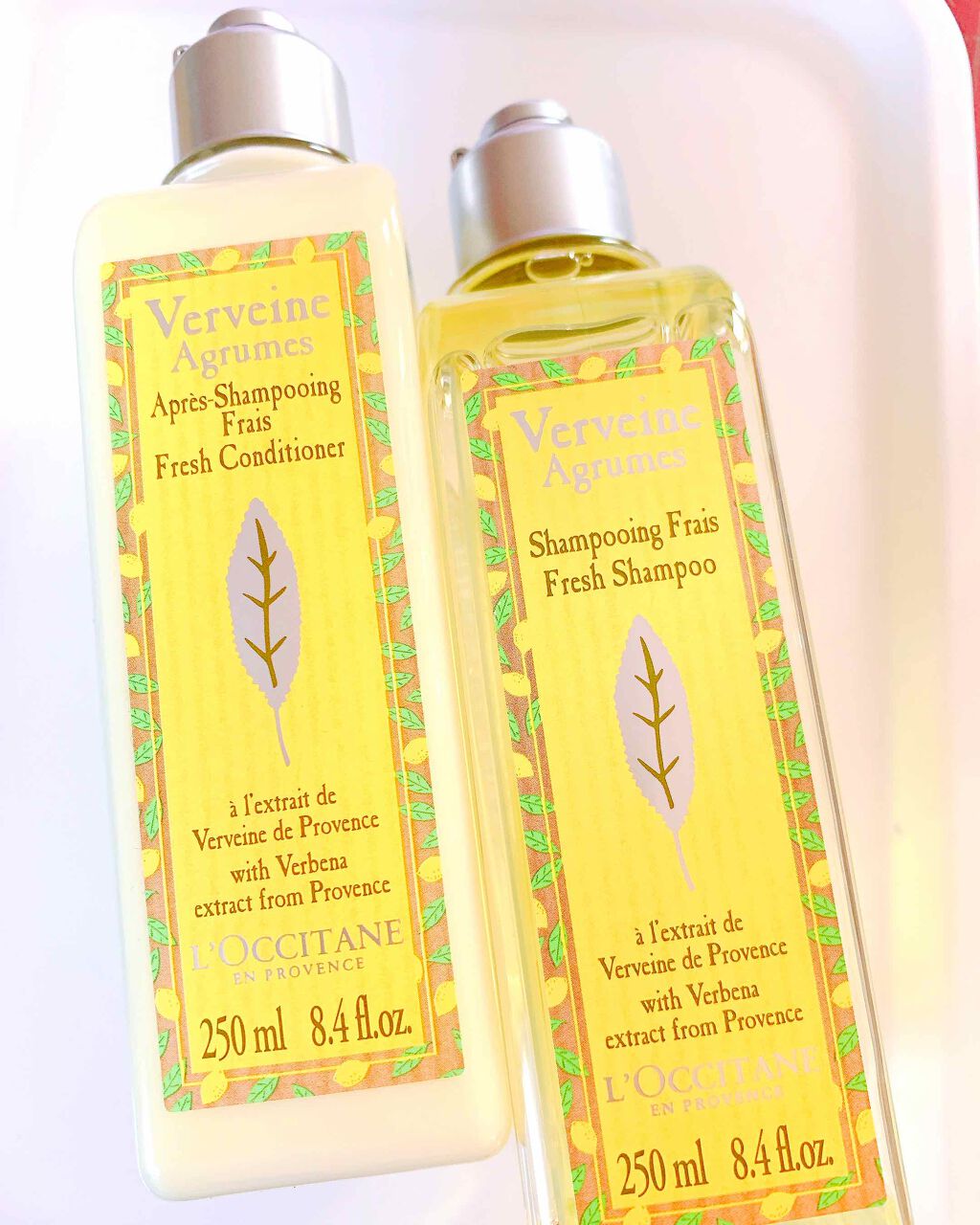 シトラスヴァーベナ アイスシャンプー/コンディショナー/L'OCCITANE/シャンプー・コンディショナーを使ったクチコミ(1枚目)