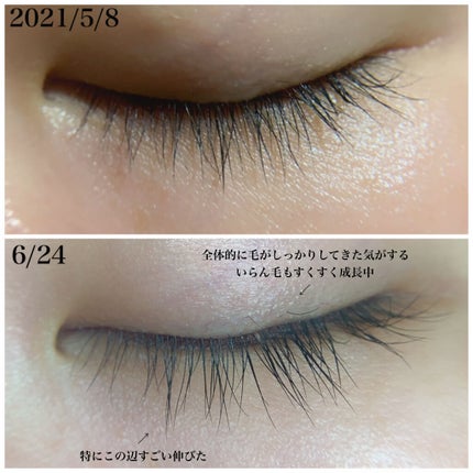 EMAKED(エマーキット)/水橋保寿堂製薬/まつげ美容液を使ったクチコミ(3枚目)