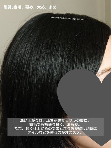 ã¡ããŠã·ã£ã³ããŒ/ã¡ããŠããªãŒãã¡ã³ã/plus eau/åžè²©ã·ã£ã³ããŒã䜿ã£ãã¯ãã³ãïŒ4æç®ïŒ