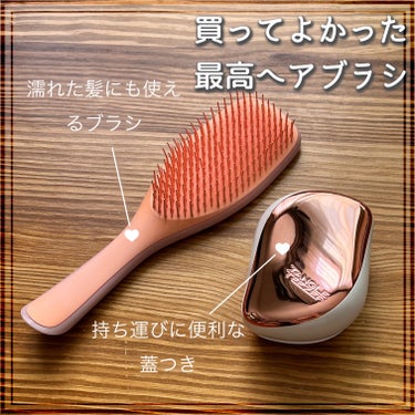 コンパクトスタイラー/TANGLE TEEZER/ヘアブラシを使ったクチコミ（1枚目）