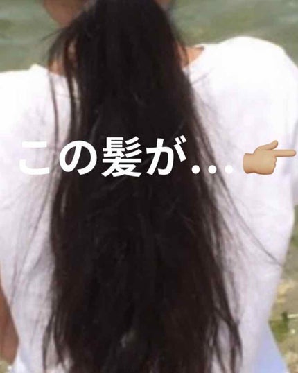 オイルトリートメント #EXヘアオイル/ルシードエル/ヘアオイルを使ったクチコミ(1枚目)