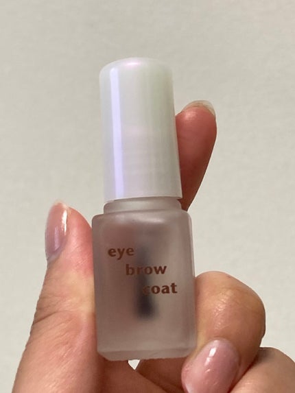 エバビレーナ アイブローコート/DAISO/アイブロウコートを使ったクチコミ(2枚目)