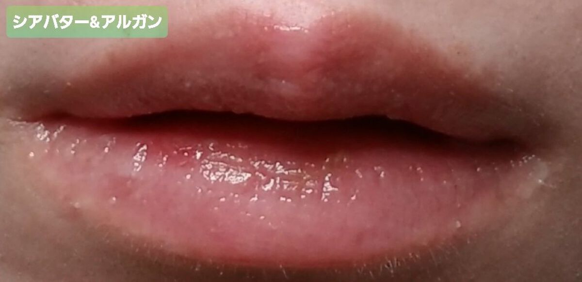Organic Lip Balm/Sierra Bees/リップバームを使ったクチコミ(5枚目)