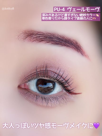 グロッシー アイヴェール/Visée/ジェル・クリームアイシャドウを使ったクチコミ(7枚目)