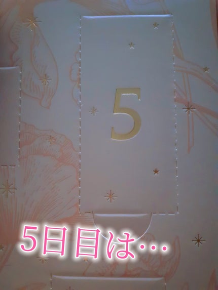鈴花 on LIPS 「5日目!PEACHJOHNのアドベントカレンダー今年、色んなコ..」(2枚目)