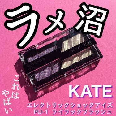 エレクトリックショックアイズ  PU-1 ライラックフラッシュ/KATE/アイシャドウパレットを使ったクチコミ（1枚目）