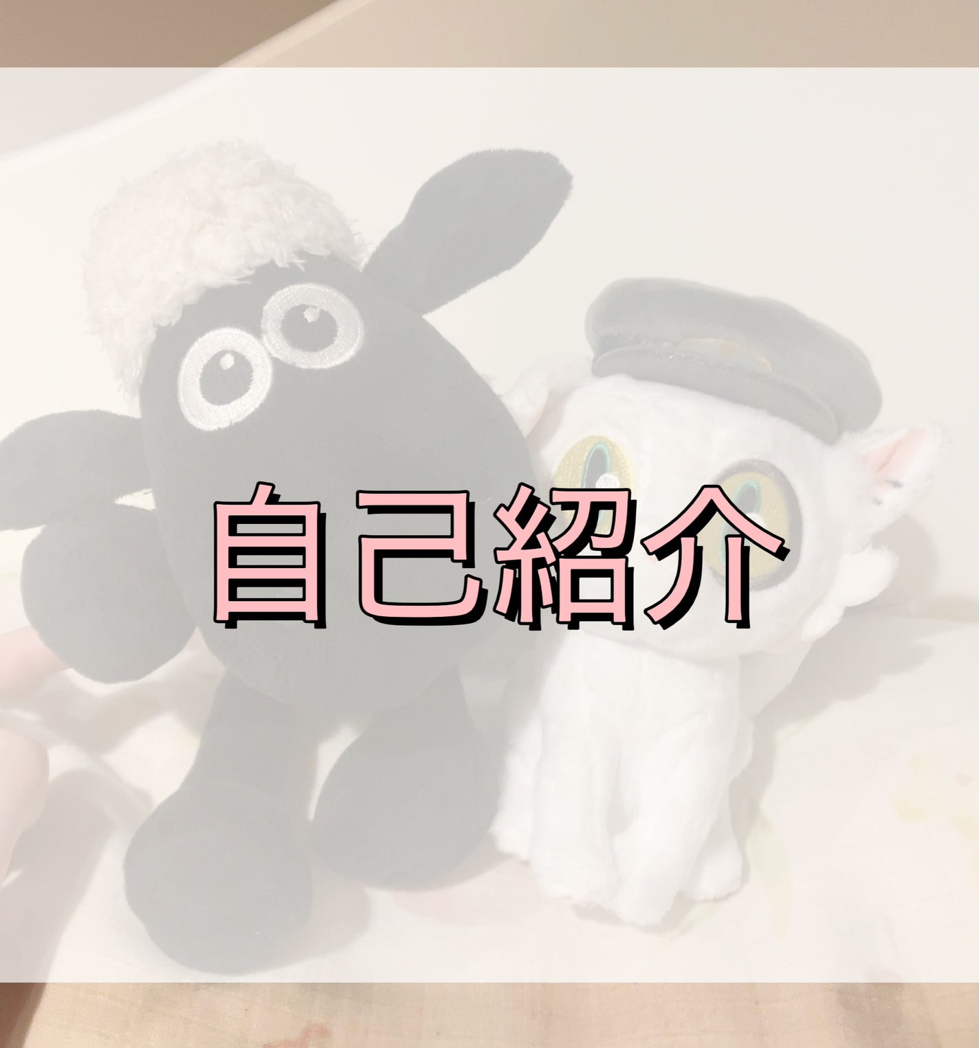 さなえ on LIPS 「さなえです🎶今日はなんだかんだ言って自己紹介してなかったので自..」(1枚目)