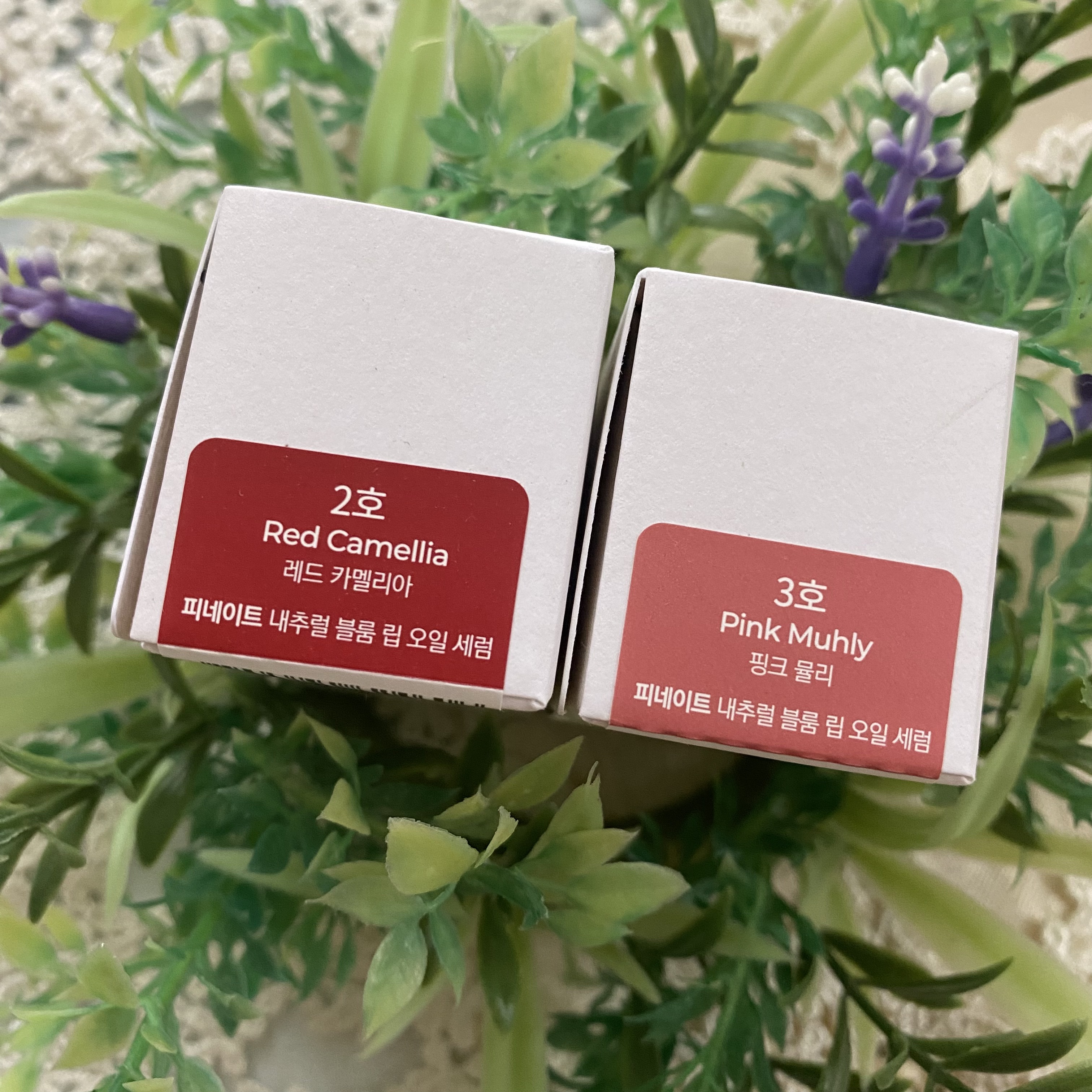 ナチュラルブルームリップオイルセラム 3色セット/PINATE/リップグロスを使ったクチコミ（3枚目）