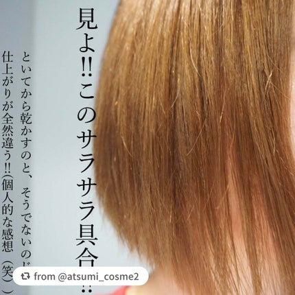 オーバルリングヘアブラシ 濡れ髪用オーバルリングヘアブラシ 濡れ髪用(ピンク)/貝印/ヘアブラシを使ったクチコミ(3枚目)