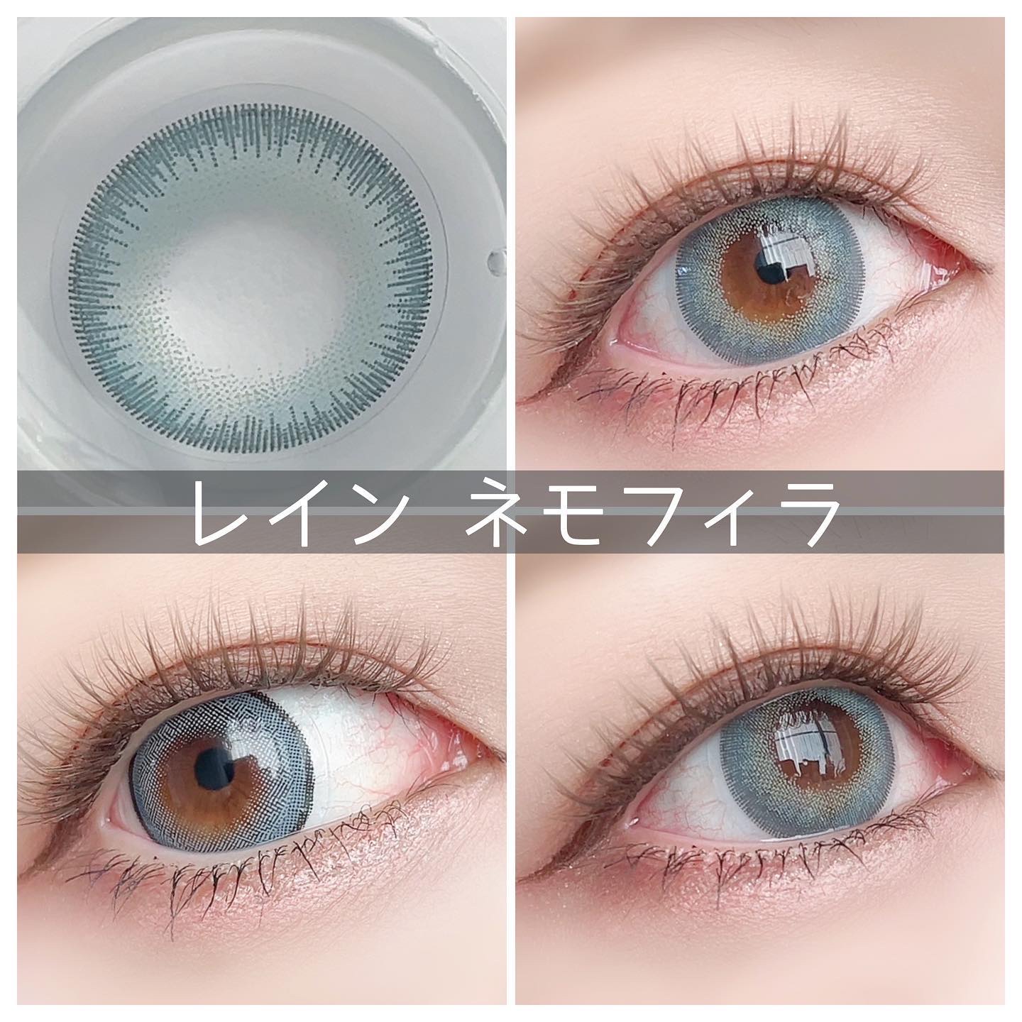 rain 1day ネモフィラ/rain/ワンデー（１DAY）カラコンを使ったクチコミ（2枚目）