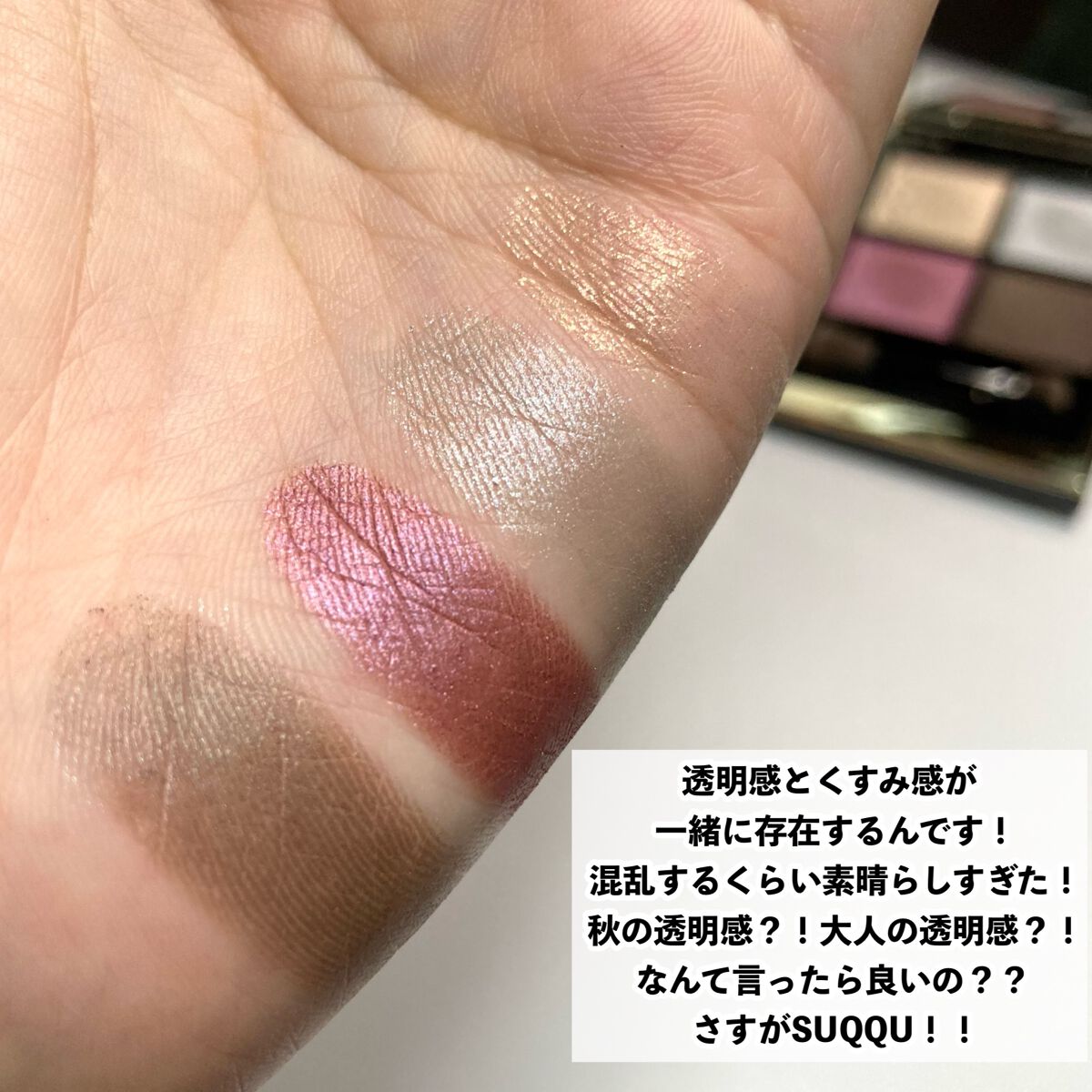 シグニチャー カラー アイズ/SUQQU/アイシャドウパレットを使ったクチコミ(7枚目)