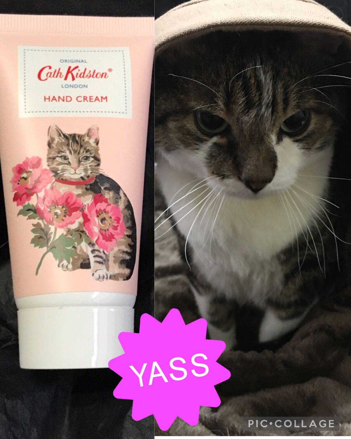 ハンドクリーム キャット&フラワー/CathKidston/ハンドクリームを使ったクチコミ（2枚目）