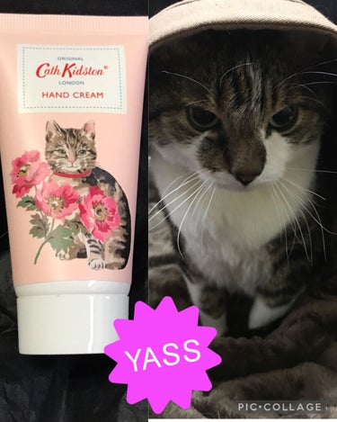 ハンドクリーム キャット&フラワー/CathKidston/ハンドクリームを使ったクチコミ（2枚目）