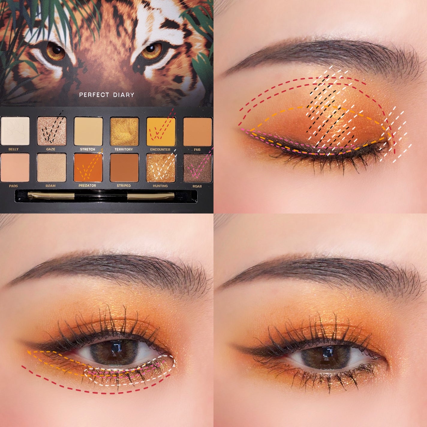 エクスプローラ12色 動物アイシャドウパレット/PERFECT DIARY/アイシャドウパレットを使ったクチコミ(5枚目)