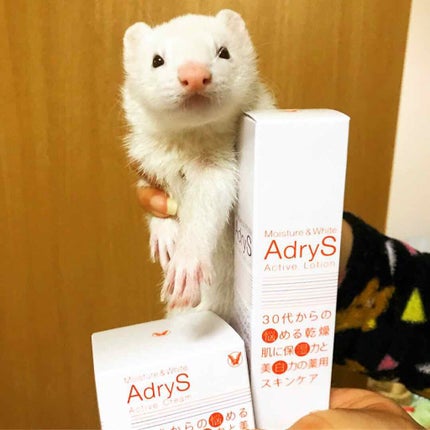 アクティブローション/AdryS/化粧水を使ったクチコミ(2枚目)