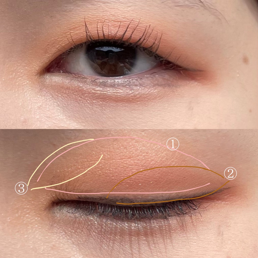 ベージュトーンアイシャドウ/CEZANNE/アイシャドウパレットを使ったクチコミ（3枚目）