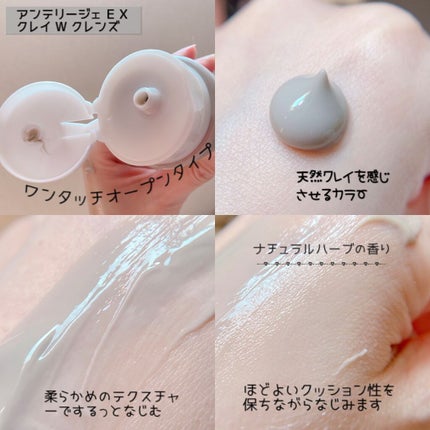 クレイ W クレンズ/アンテリージェEX/クレンジングクリームを使ったクチコミ(3枚目)