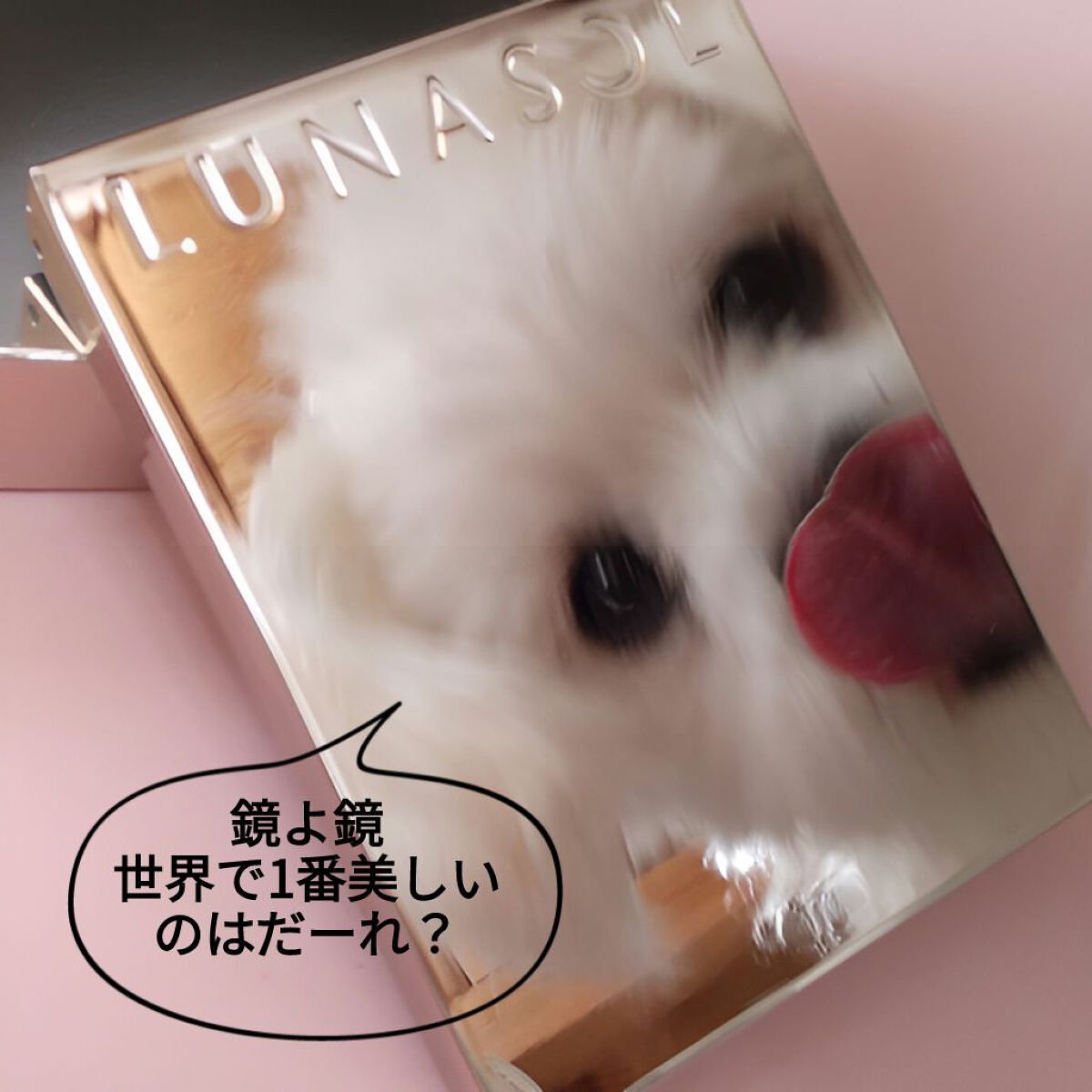 アイカラーレーション/LUNASOL/アイシャドウパレットを使ったクチコミ（2枚目）