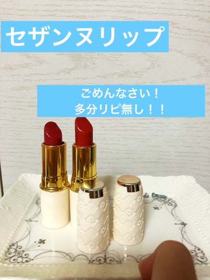 ラスティング リップカラーN/CEZANNE/口紅を使ったクチコミ(1枚目)