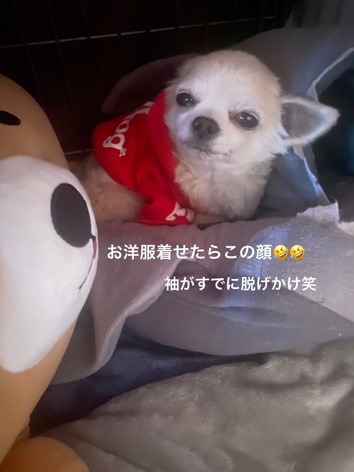 ラディアント タッチ グロウパクト/YVES SAINT LAURENT BEAUTE/クッションファンデーションを使ったクチコミ(10枚目)