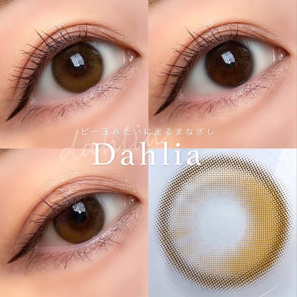 ダリアブラウンマンスリー (DAHLIA BROWN monthly)/OLOLA/1ヶ月(1MONTH)カラコンを使ったクチコミ(3枚目)