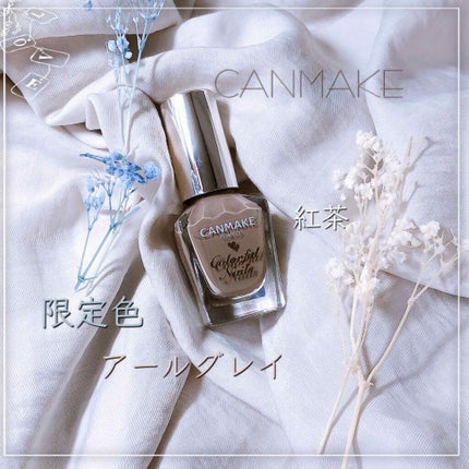 カラフルネイルズ N45 アールグレイ/キャンメイク/マニキュアを使ったクチコミ(1枚目)