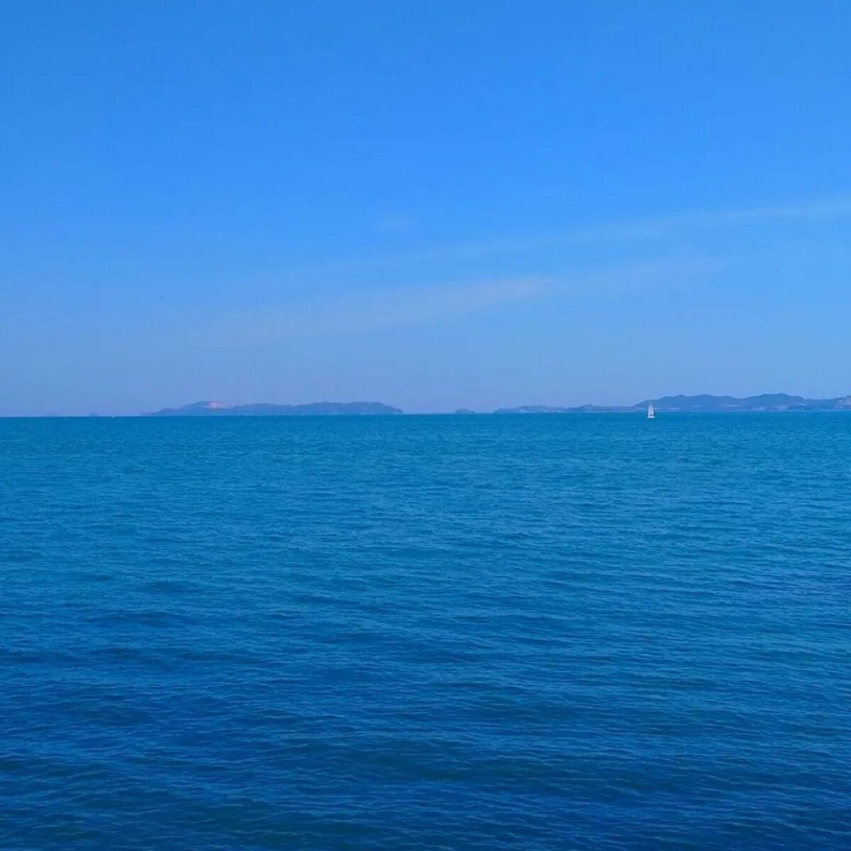 seiko_official on LIPS ãokayamaðïžhimeji#scioscio#ã·ã§ãŒã·ã§ãŒ..ãïŒ8æç®ïŒ