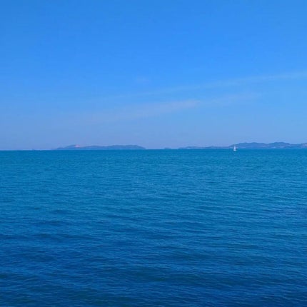 seiko_official on LIPS ãokayamaðïžhimeji#scioscio#ã·ã§ãŒã·ã§ãŒ..ãïŒ8æç®ïŒ